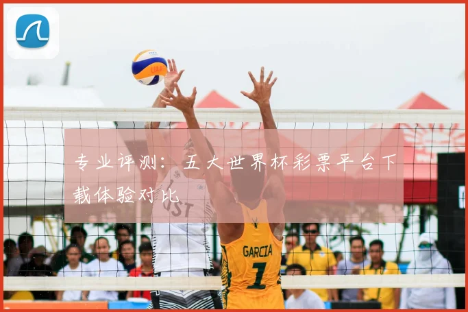 专业评测：五大世界杯彩票平台下载体验对比